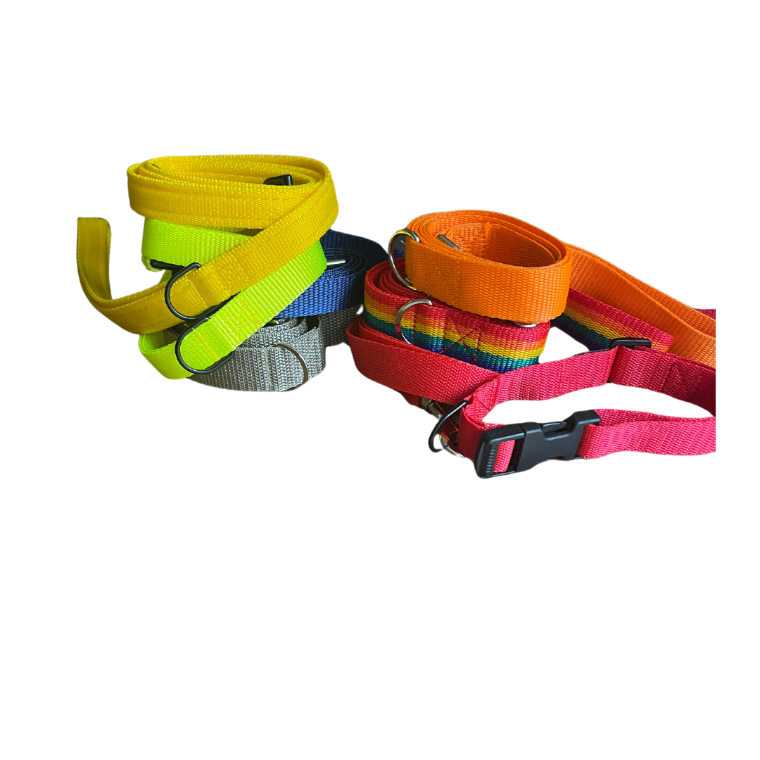 VibrantVoyage Dog Leads