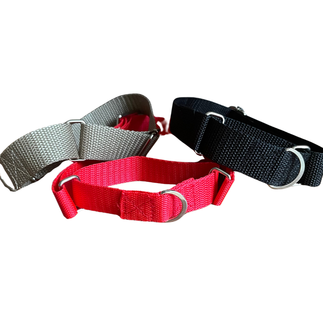 SecureStride Basic Martingale Collar