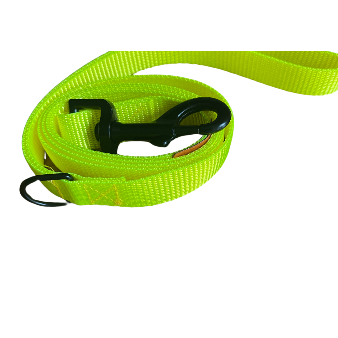 VibrantVoyage Dog Leads