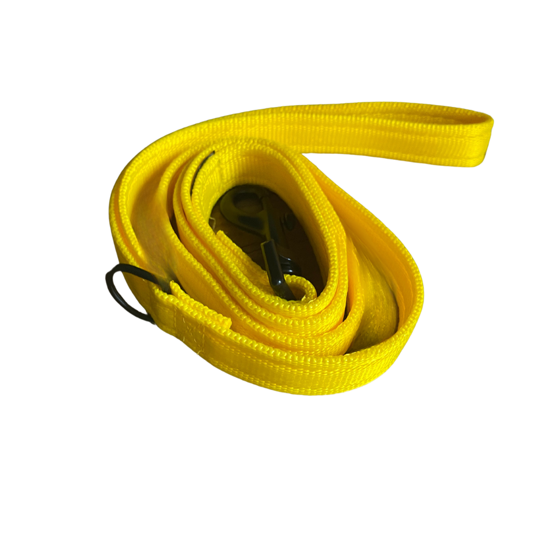 VibrantVoyage Dog Leads