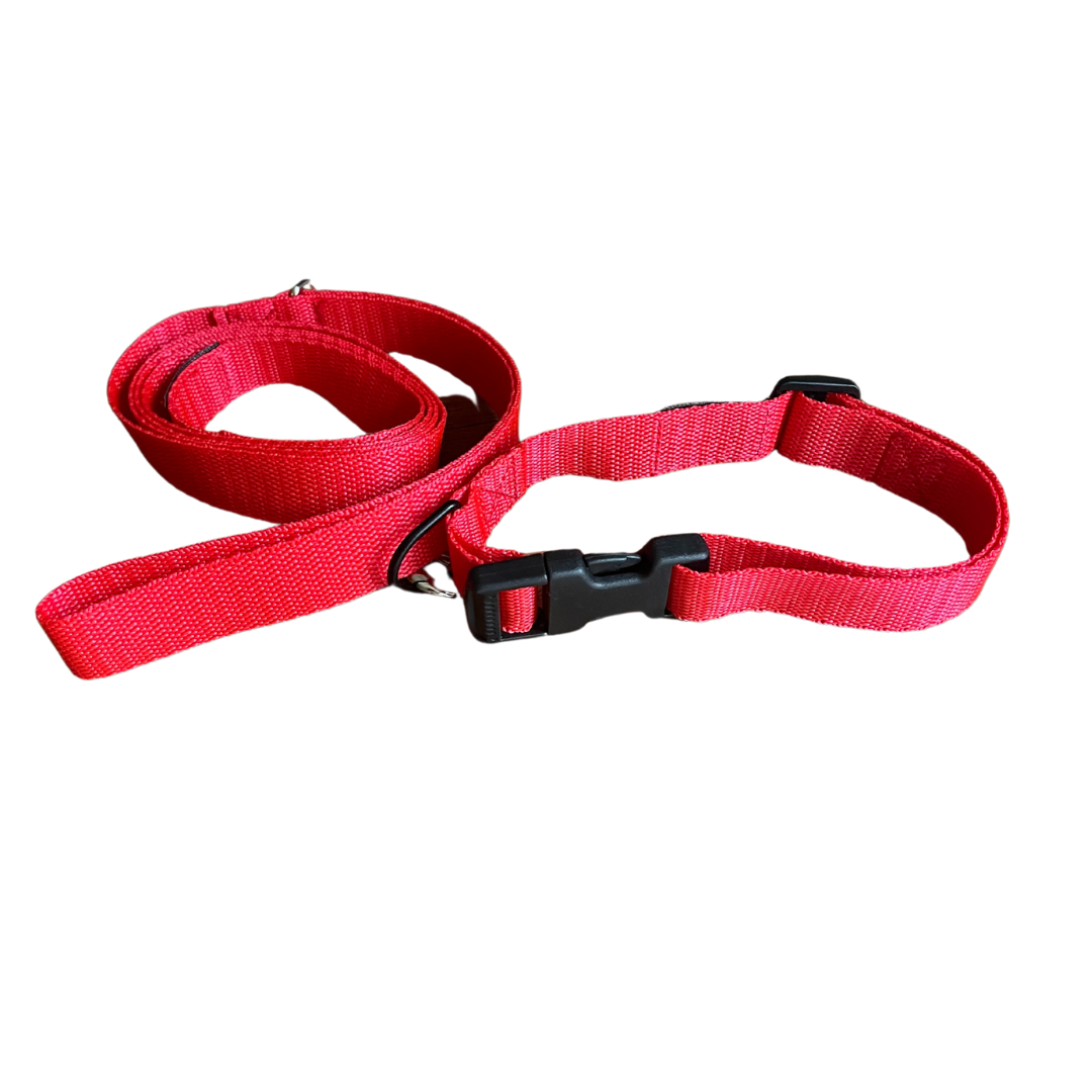 VibrantVoyage Dog Leads