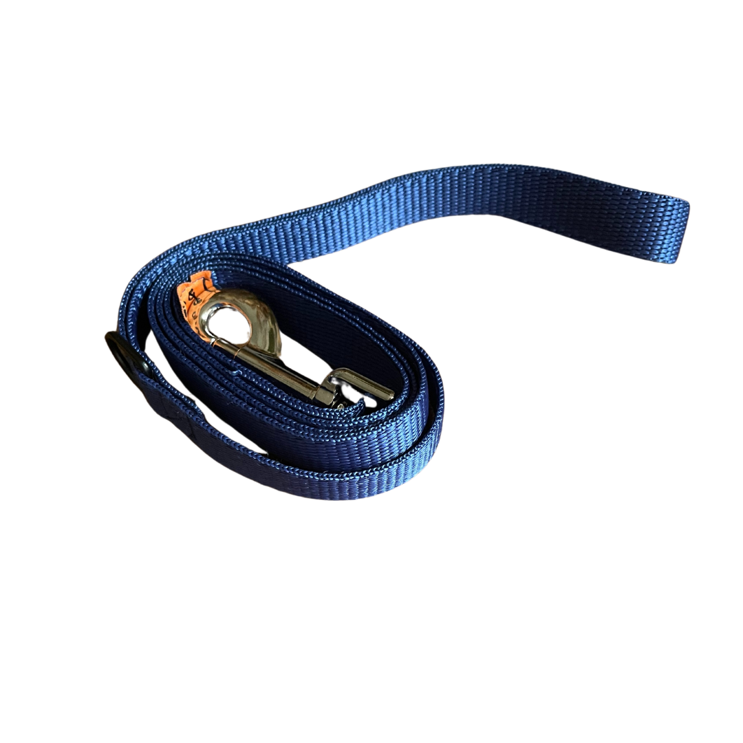 VibrantVoyage Dog Leads