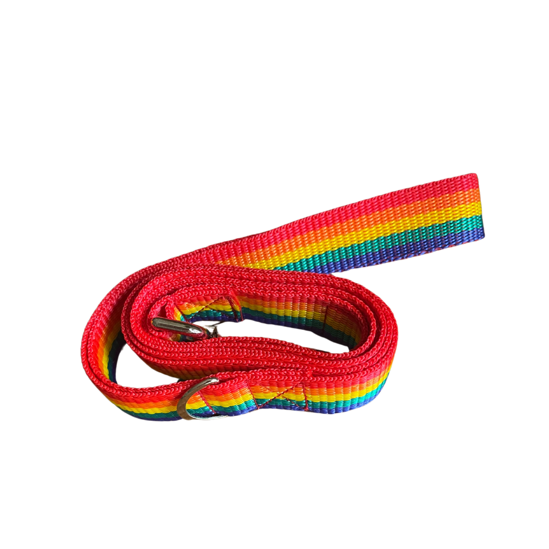 VibrantVoyage Dog Leads