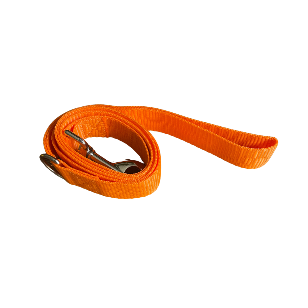 VibrantVoyage Dog Leads