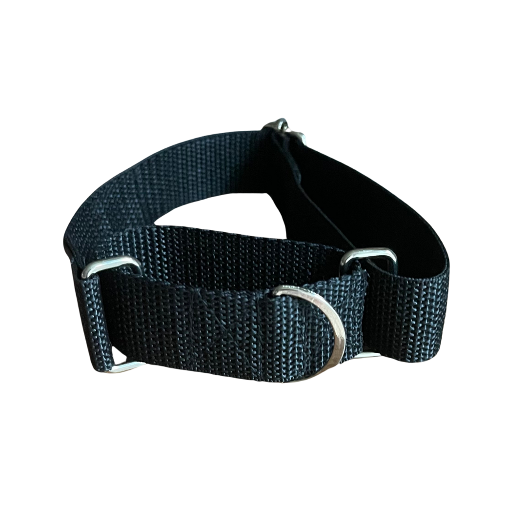 SecureStride Basic Martingale Collar