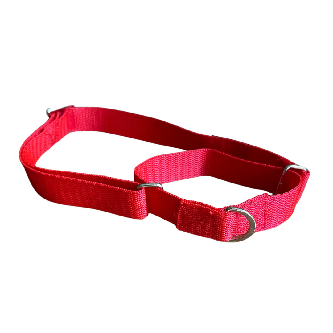 SecureStride Basic Martingale Collar