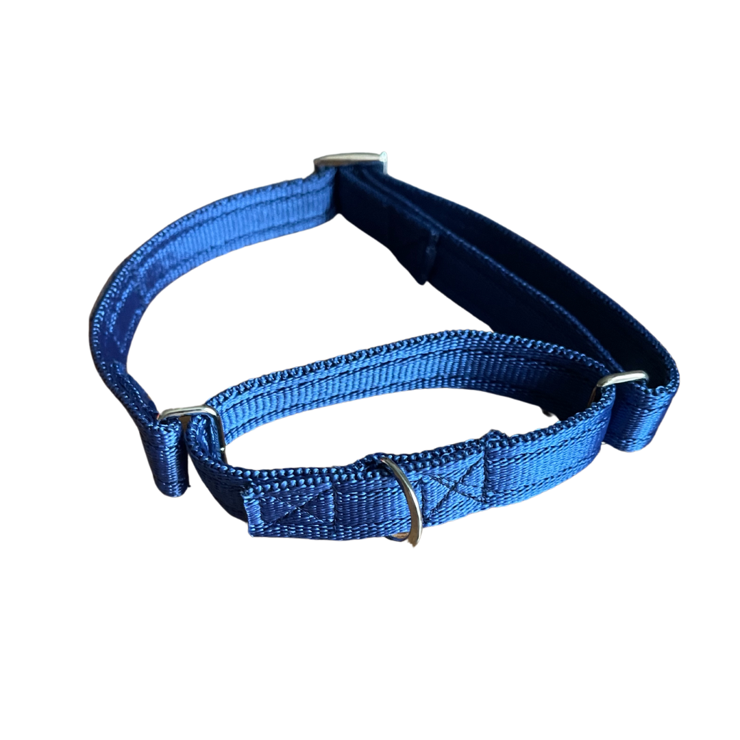 SecureStride Cushioned Martingale Collar