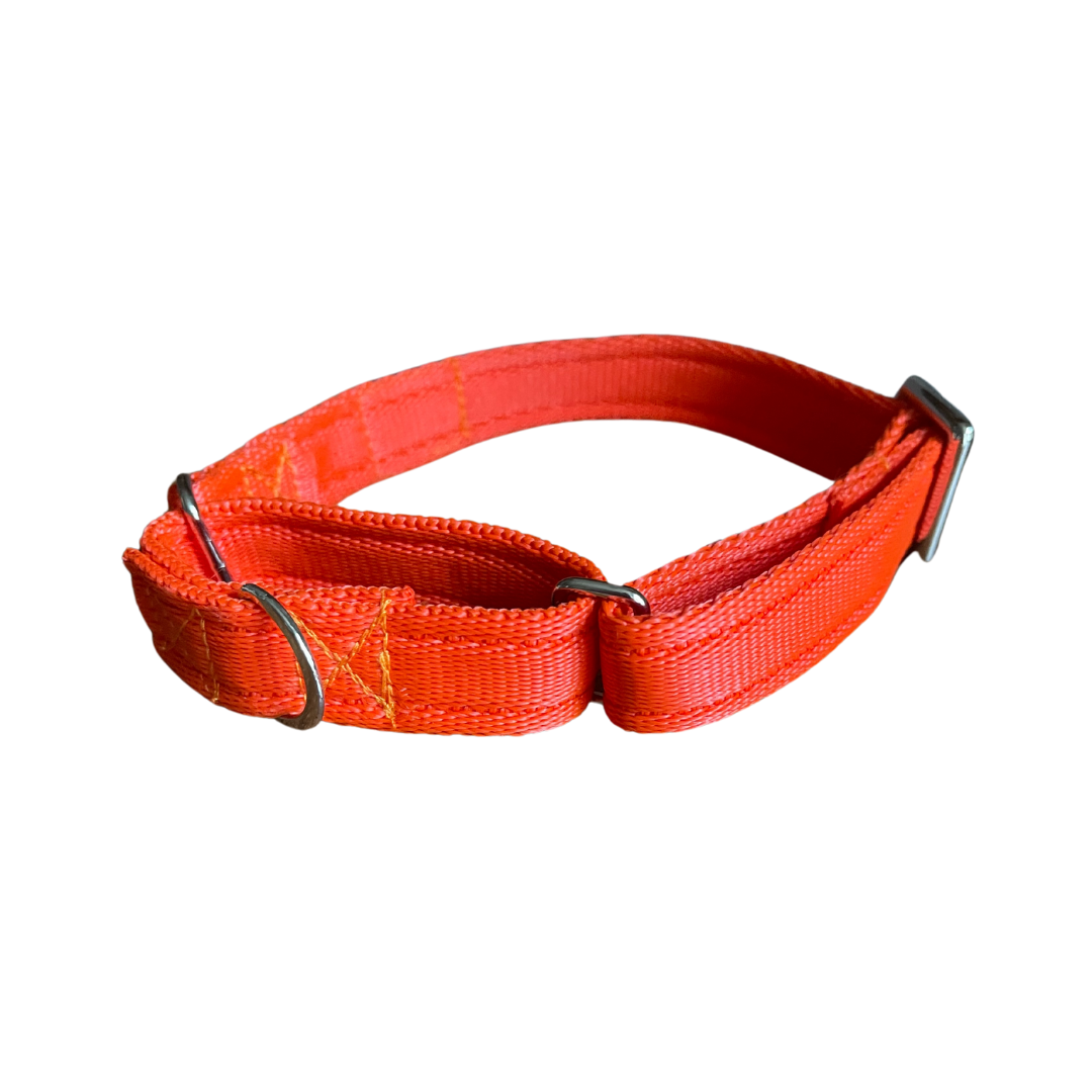 SecureStride Cushioned Martingale Collar