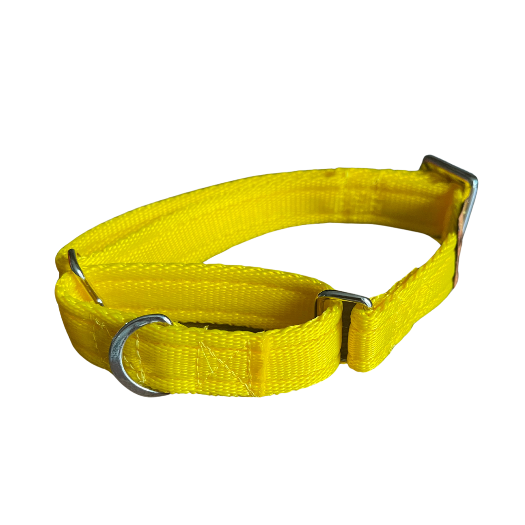 SecureStride Cushioned Martingale Collar