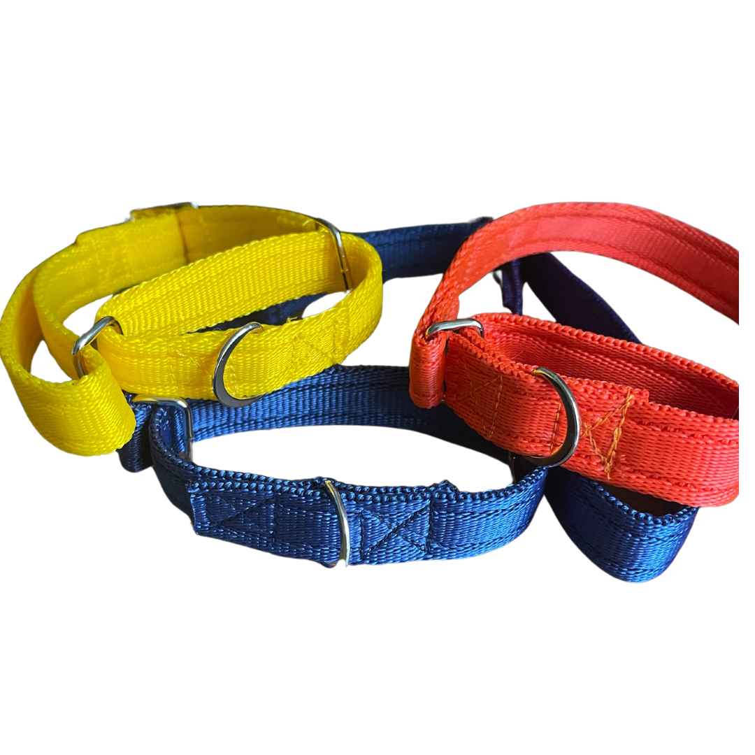 SecureStride Cushioned Martingale Collar